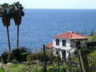 Foto van Appartementen Fajã dos Padres in Quinta Grande