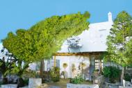 Foto van Hotel Elena Mykonos in Mykonos-stad